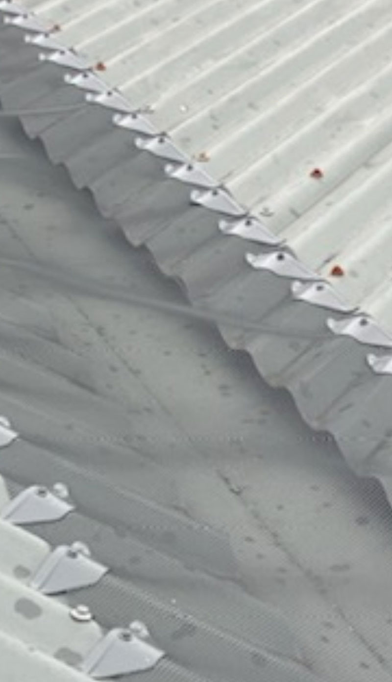 Leaf Screener
